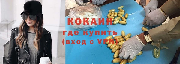 шишки Алзамай