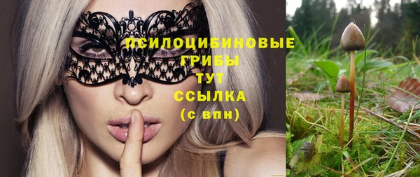 винт Алексеевка